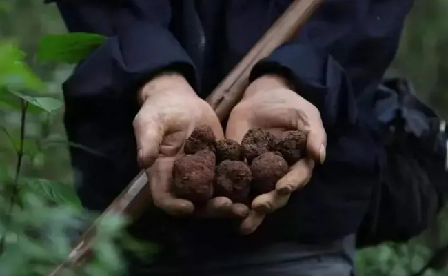 整天战士片子甚么时分上映