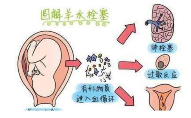 《中国通史周王室的衰落》在线观看