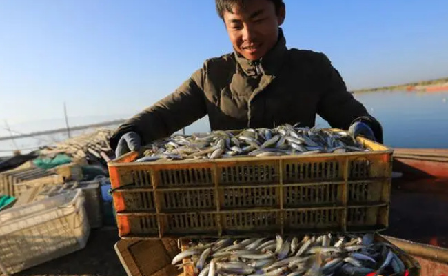 ​​新疆没有海为什么能养海鲜